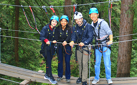 JAMA Conquers the Treetops!